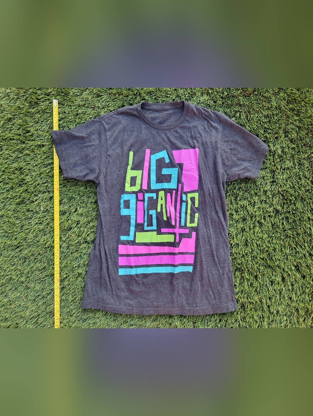 Big Gigantic Rowdytown Tee Red Rocks